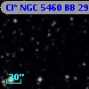Cl* NGC 5460     BB      29