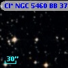 Cl* NGC 5460     BB      37