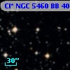 Cl* NGC 5460     BB      40