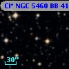 Cl* NGC 5460     BB      41