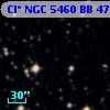 Cl* NGC 5460     BB      47