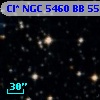 Cl* NGC 5460     BB      55