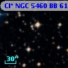 Cl* NGC 5460     BB      61