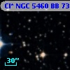 Cl* NGC 5460     BB      73