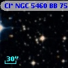 Cl* NGC 5460     BB      75