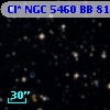 Cl* NGC 5460     BB      81