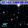 Cl* NGC 5460     BB      89