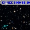 Cl* NGC 5460     BB     105