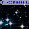 Cl* NGC 5460     BB     111