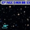 Cl* NGC 5460     BB     134