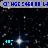 Cl* NGC 5460     BB     146