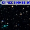 Cl* NGC 5460     BB     160