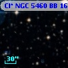 Cl* NGC 5460     BB     161
