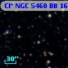 Cl* NGC 5460     BB     163
