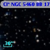 Cl* NGC 5460     BB     171