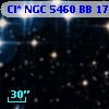 Cl* NGC 5460     BB     176