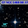 Cl* NGC 5460     BB     177