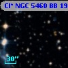 Cl* NGC 5460     BB     195