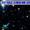 Cl* NGC 5460     BB     198