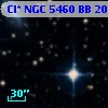 Cl* NGC 5460     BB     202