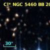 Cl* NGC 5460     BB     204