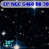 Cl* NGC 5460     BB     207