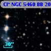 Cl* NGC 5460     BB     208
