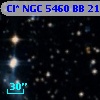 Cl* NGC 5460     BB     210