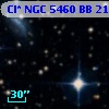 Cl* NGC 5460     BB     216