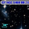 Cl* NGC 5460     BB     217