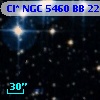 Cl* NGC 5460     BB     221
