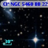 Cl* NGC 5460     BB     222