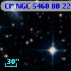 Cl* NGC 5460     BB     223