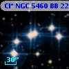 Cl* NGC 5460     BB     225