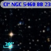 Cl* NGC 5460     BB     230