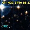 Cl* NGC 5460     BB     233