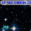 Cl* NGC 5460     BB     238