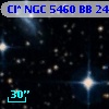 Cl* NGC 5460     BB     241