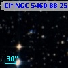 Cl* NGC 5460     BB     250
