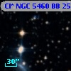 Cl* NGC 5460     BB     255