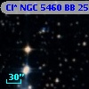 Cl* NGC 5460     BB     256