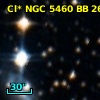 Cl* NGC 5460     BB     263