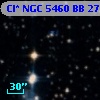 Cl* NGC 5460     BB     270
