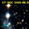 Cl* NGC 5460     BB     281