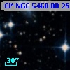 Cl* NGC 5460     BB     282