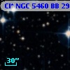 Cl* NGC 5460     BB     293