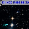 Cl* NGC 5460     BB     295