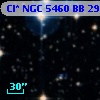 Cl* NGC 5460     BB     296