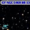 Cl* NGC 5460     BB      13