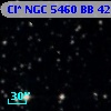 Cl* NGC 5460     BB      42
